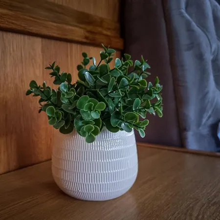 Pensjonat Gardenia Jelenia Góra