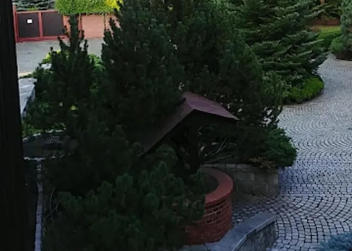 Gardenia 옐레니아구라