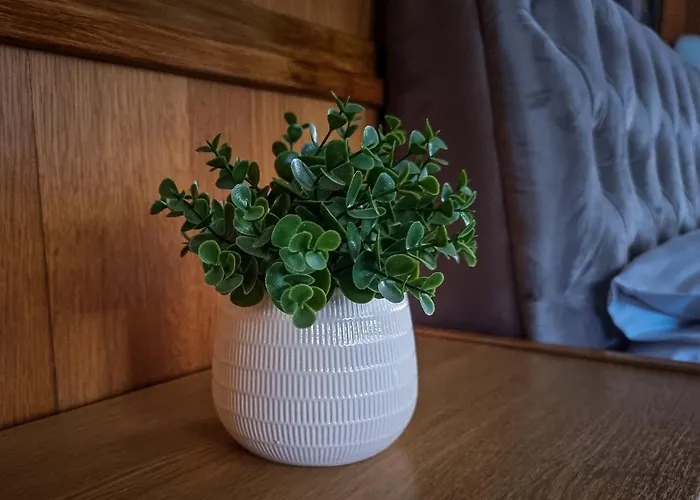 게스트하우스 Gardenia 옐레니아구라