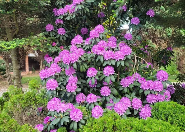 Gardenia Casa de hóspedes Jelenia Góra